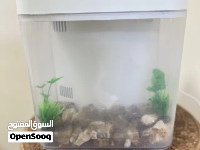 Fish Aquarium without fish