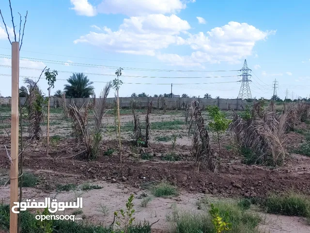 Mixed Use Land for Sale in Baghdad Rashdiya