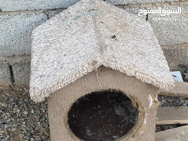 بيوت قطط او كلاب ربي يبارك انضاف