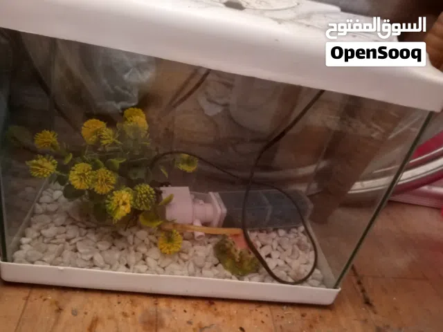 حوض سمك للبيع
