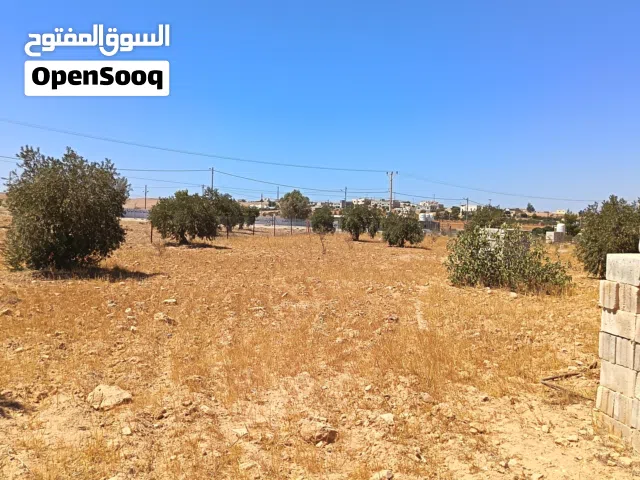 Farm Land for Sale in Mafraq Znaya