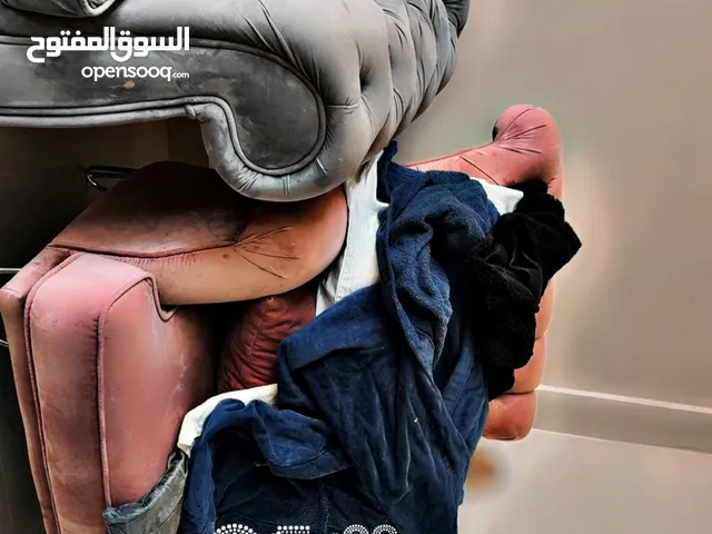 تخم قنفات لونين