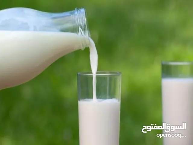حليب بقري طازج