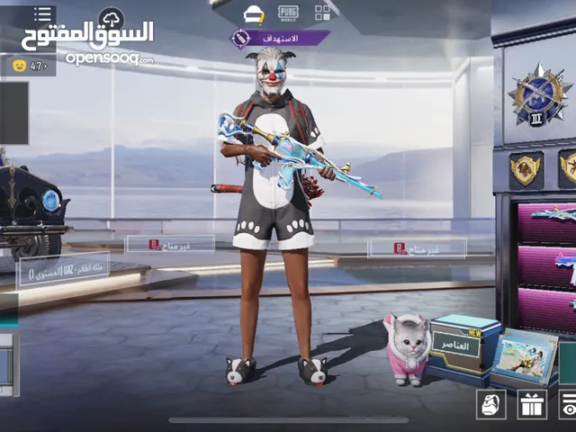Pubg Accounts and Characters for Sale in Amman