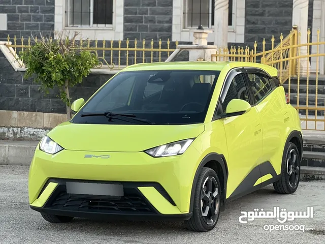 Used BYD Seagull in Irbid