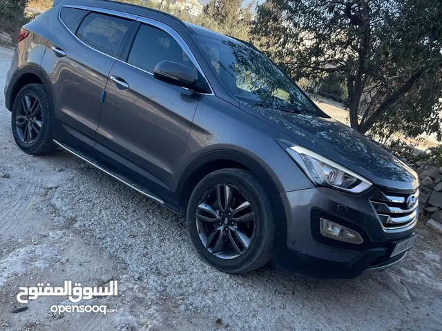 محمد ابو الأمير