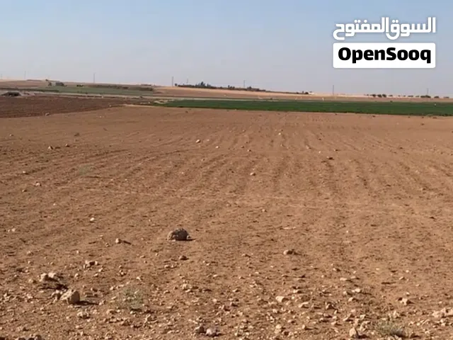 Farm Land for Sale in Amman Zuwayza