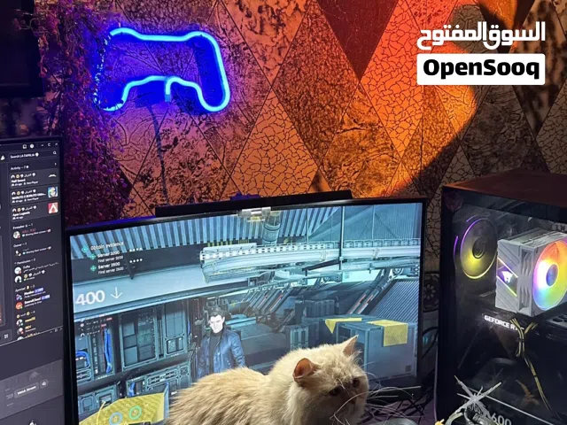 قط ذكر للتزاوج ب 10ریال