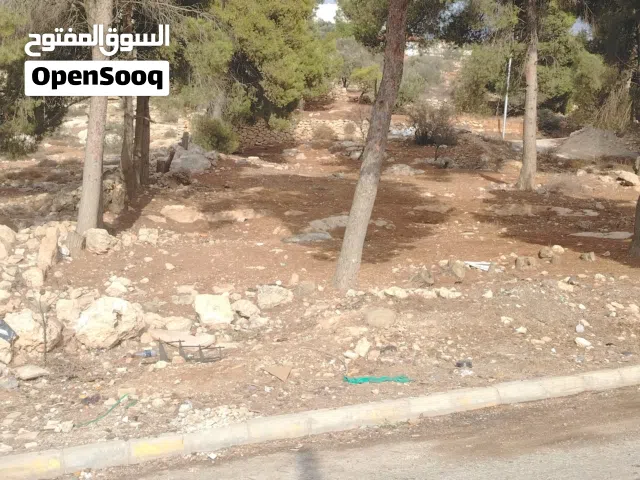 Residential Land for Sale in Salt Al Balqa'