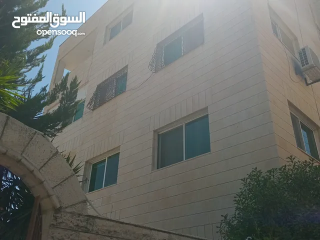 شقة فارغه للايجار