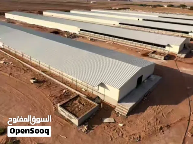 مطلوب حضاير دواجن دجاج لاحم للايجار في الشرقيه و القصيم و الرياض