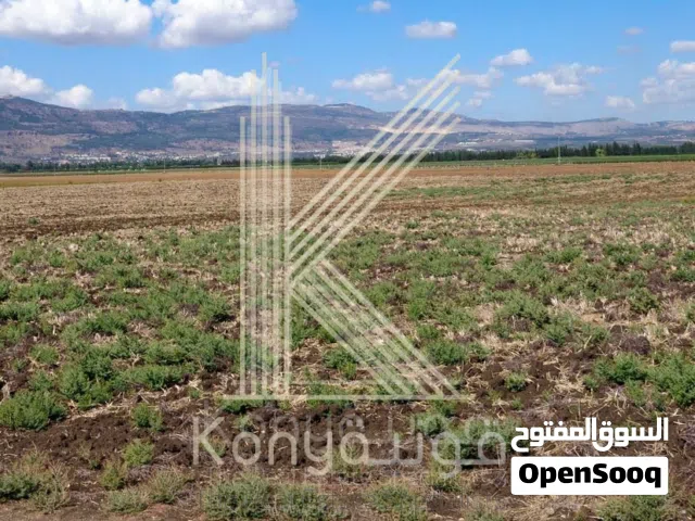 Residential Land for Sale in Amman Hjar Al Nawabilseh