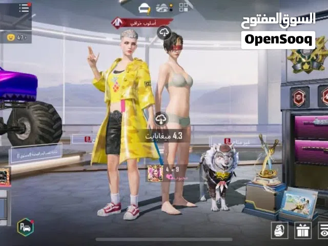 Pubg Accounts and Characters for Sale in Baghdad