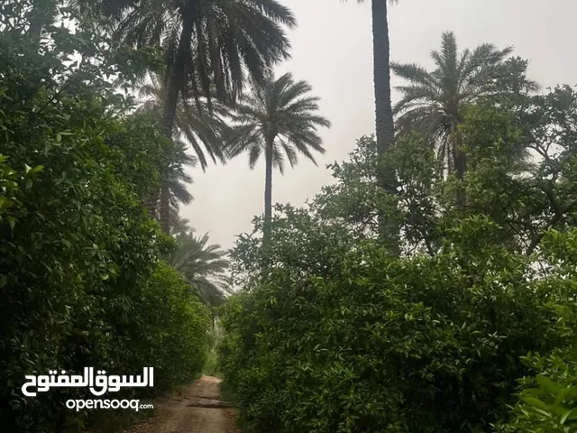 قطعة ارض زراعية للبيع وشاليهات للبيع