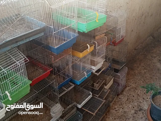 قفاص للبيع