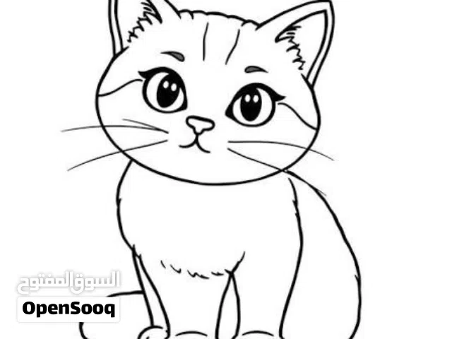 مطلوب قطط صغيره للتبني