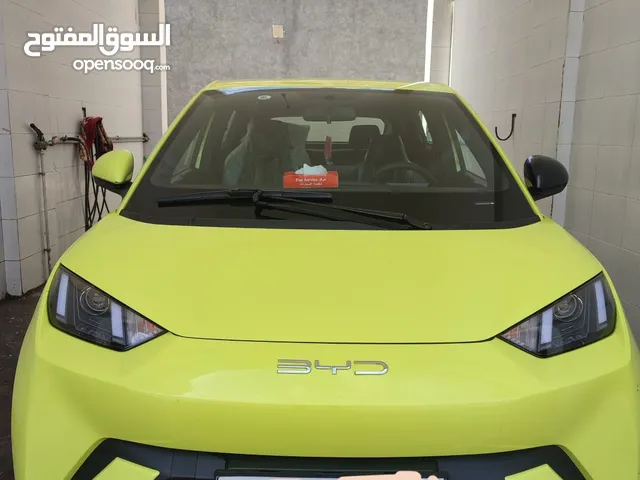 بي واي دي سيجال (2023)