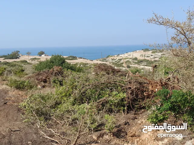 Farm Land for Sale in Zgharta Other