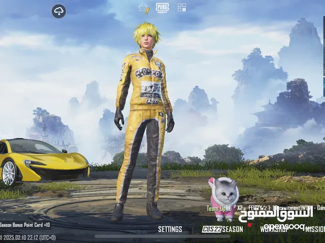 Pubg Accounts and Characters for Sale in Basra