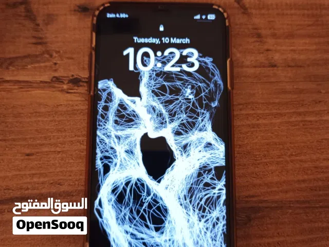 Apple iPhone XS Max 256 GB in Basra