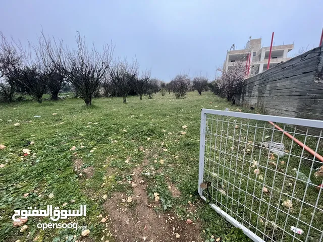 Mixed Use Land for Sale in Hebron Beit Ummar