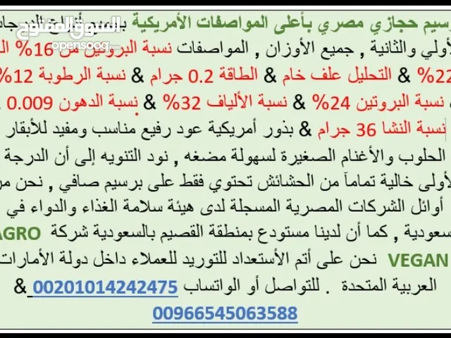 برسيم حجازي درجة أولى بأعلى معايير الجودة