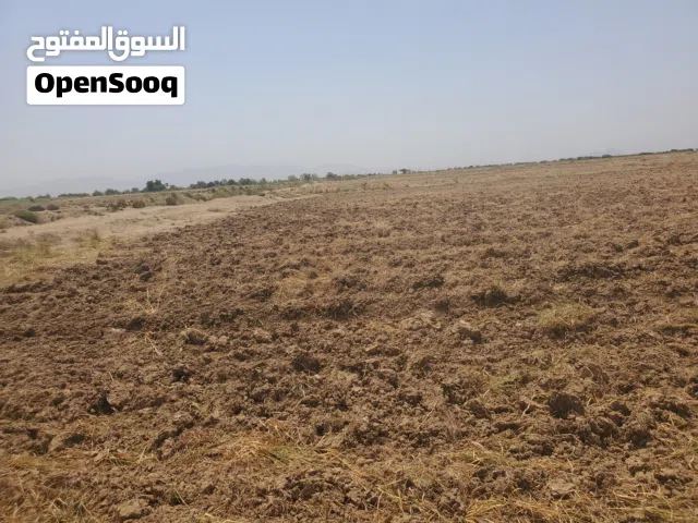 Farm Land for Sale in Al Hudaydah Other