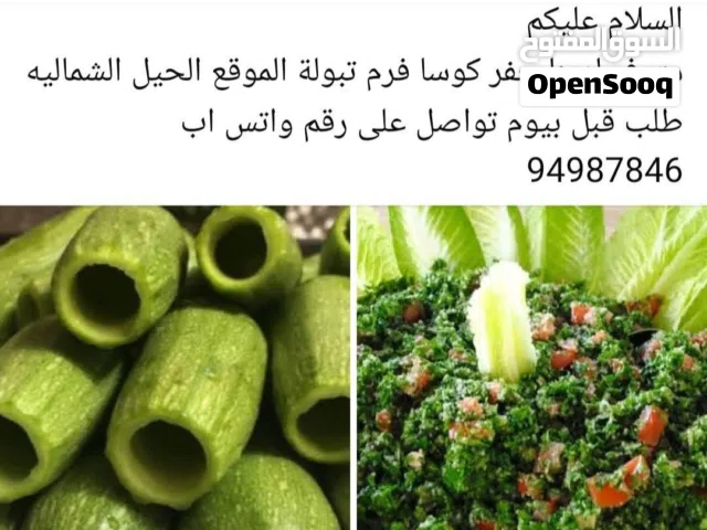 فرم تبوله حفر كوسا كبه مفرزه مقليه