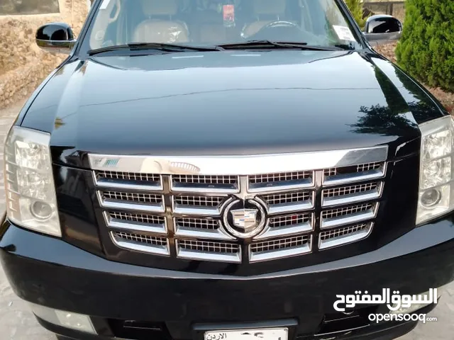 New Cadillac Escalade in Amman