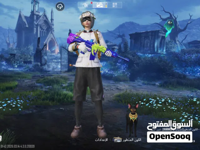 حساب ببجي موبايل العالميه فاخر من الاخر