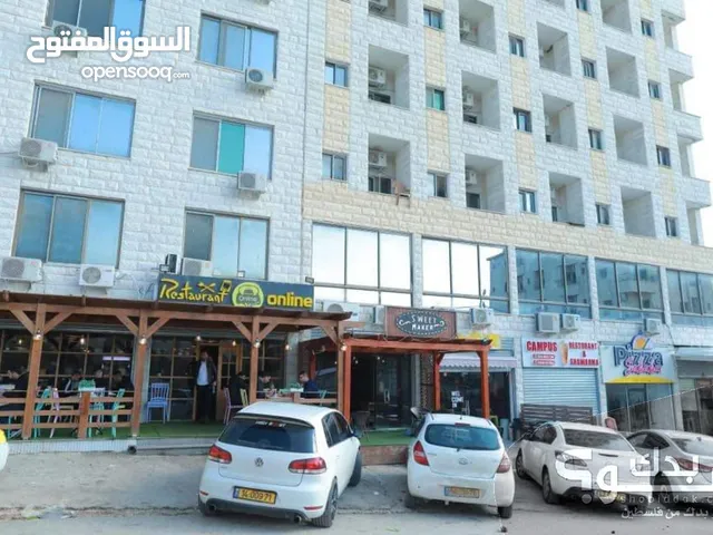 الجامعة الامريكية