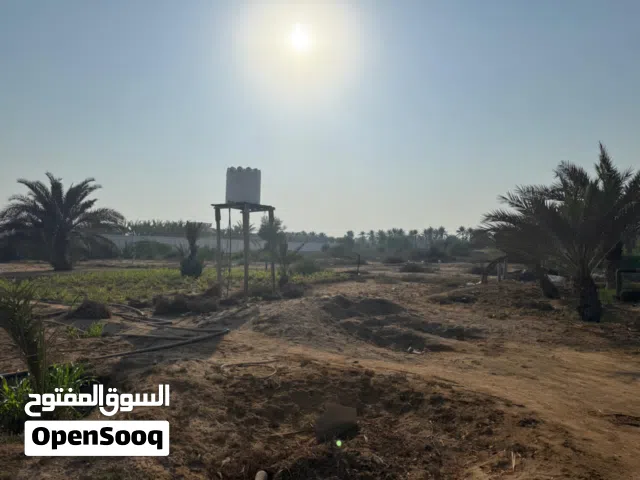 ارض زراعيه كورنر السويق المنفش مساحتها4614 يوجد بها كهرباء وماء حكومي وبئر وغرفه عامل وحوض