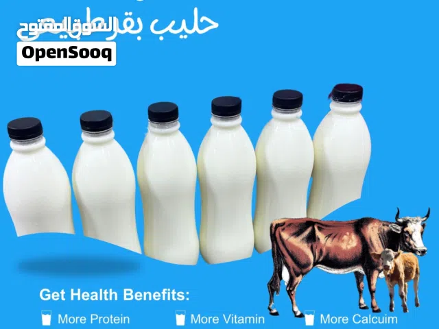 حليب بقر طازج