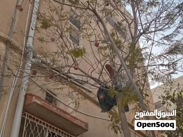 Building for Sale in Amman Tabarboor