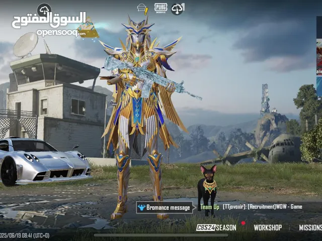 Pubg Accounts and Characters for Sale in Jenin