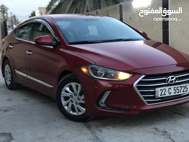 New Hyundai Elantra in Baghdad