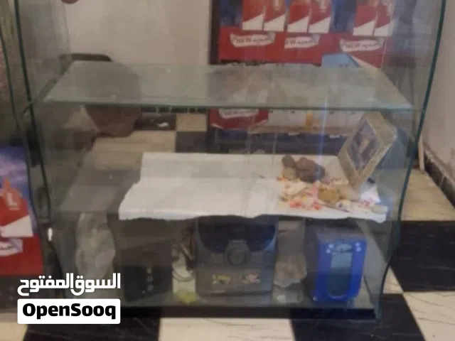 فترينا قزاز متر و20