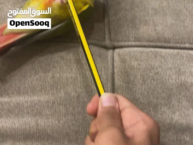 كنيور اناناس للبيع أليف و هدد
