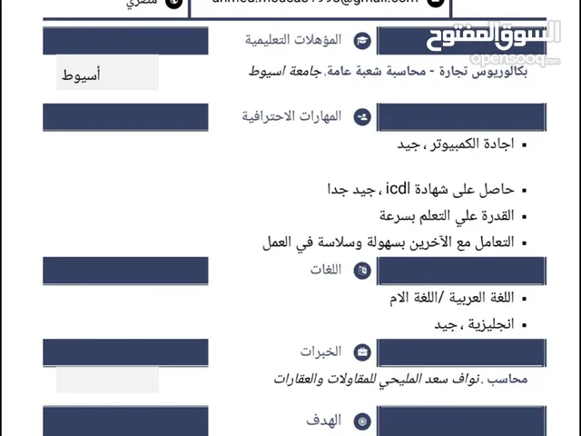 محاسب مصري ابحث عن وظيفة