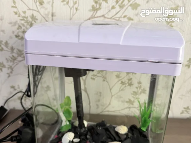 Mini aquarium