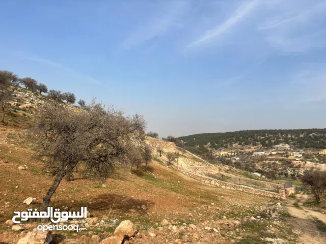 Farm Land for Sale in Zarqa Al-Alouk