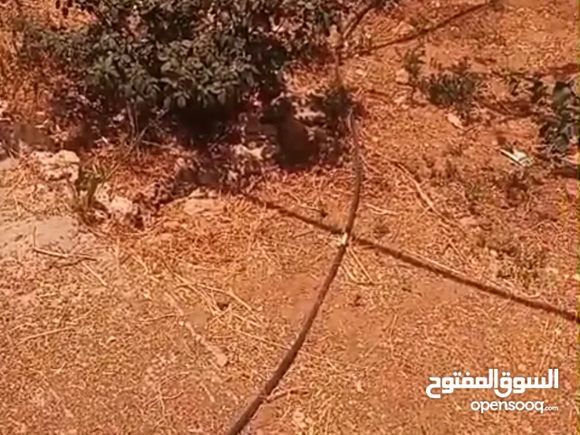 Residential Land for Sale in Ramallah and Al-Bireh Other