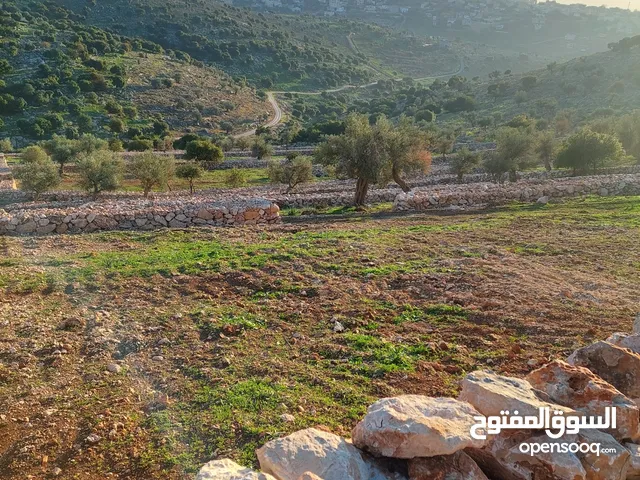 Mixed Use Land for Sale in Ajloun Other
