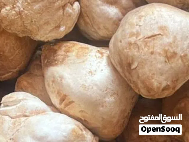 محمية زاهية لانتاج الفقع