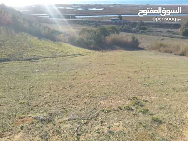 أرض محفضة للبيع بتمن معقول