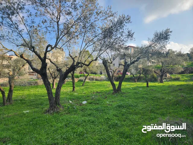 Residential Land for Sale in Ramallah and Al-Bireh Downtown
