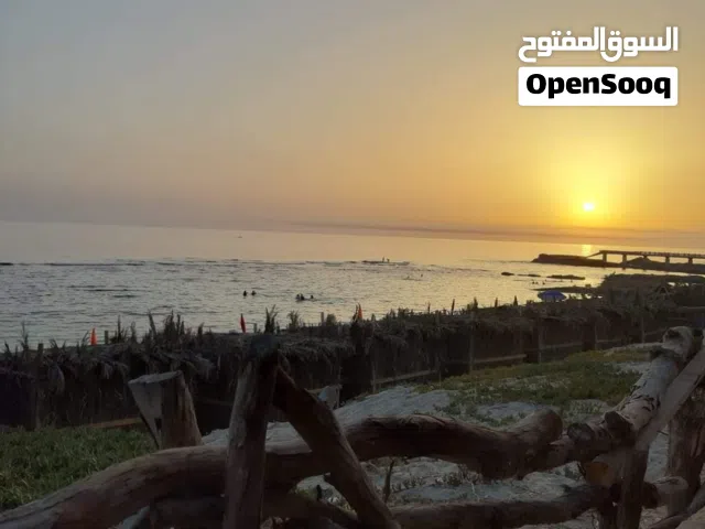 محل للإيجار