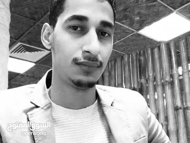 مصطفى احمد