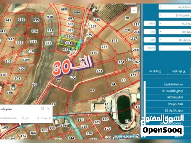Mixed Use Land for Sale in Tafila Al-Ayes