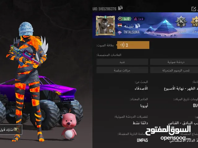 Pubg Accounts and Characters for Sale in Baghdad